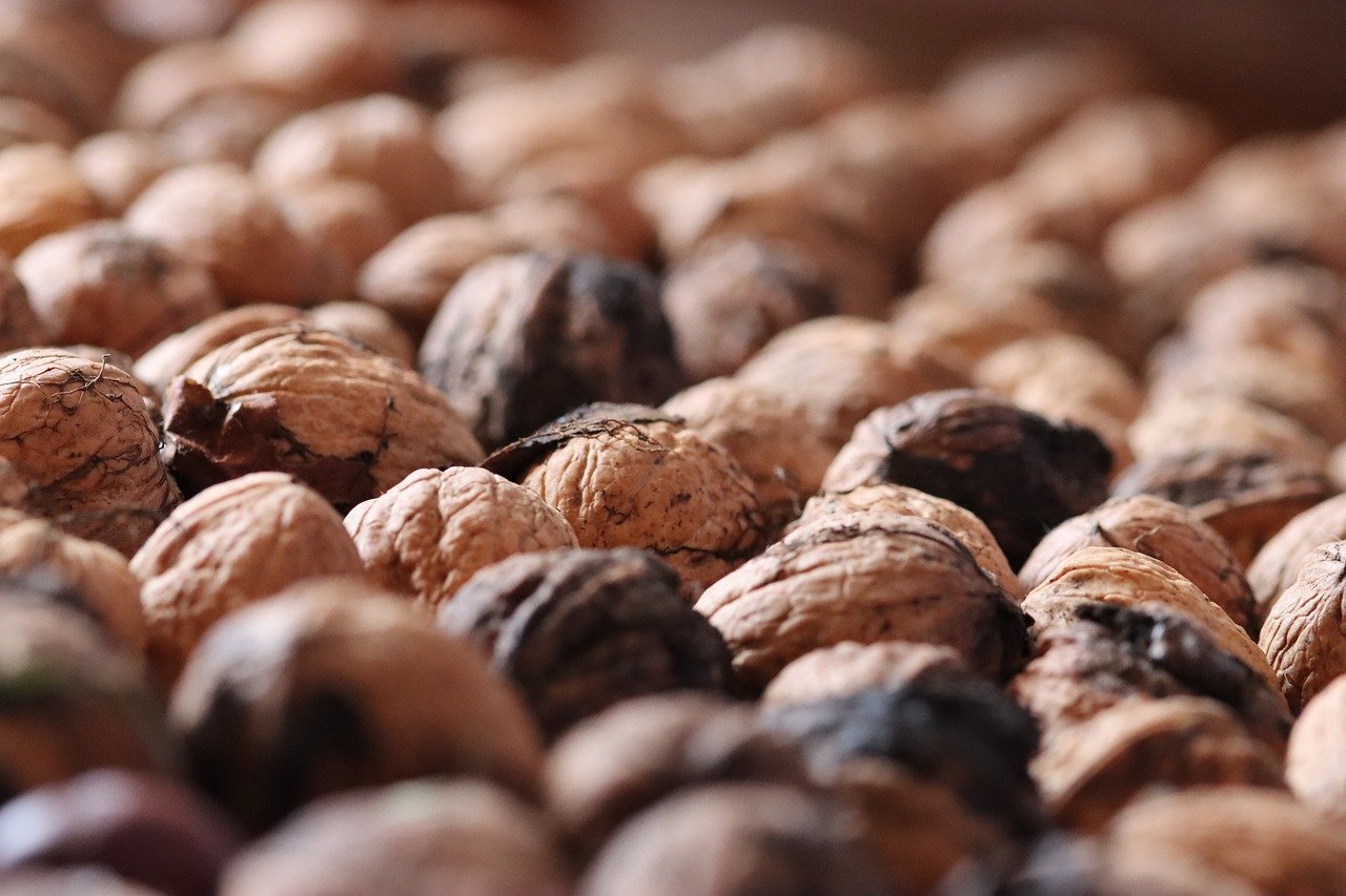 服务器受到攻击？快速应对措施大揭秘！