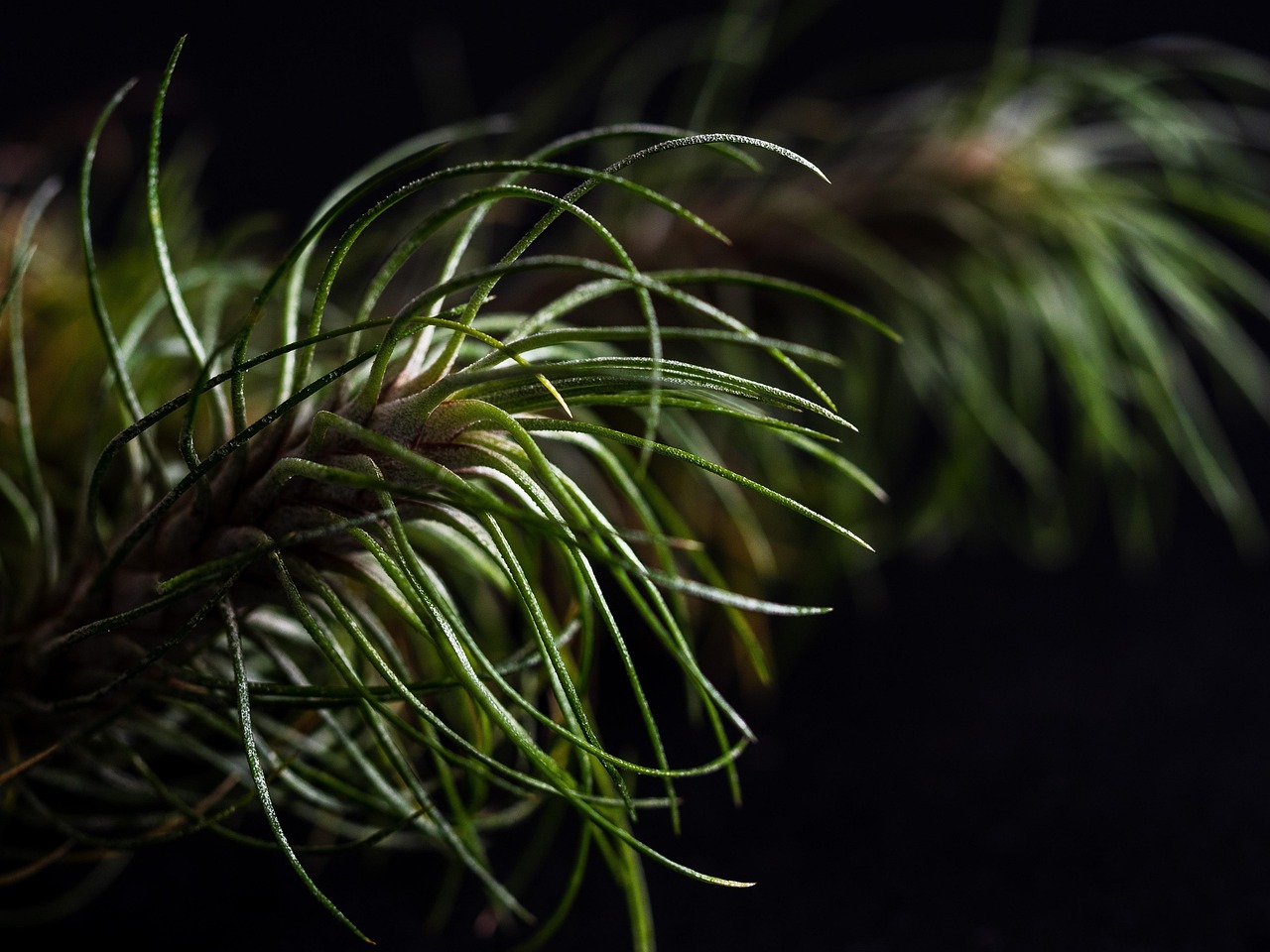 如何制定企业价值观