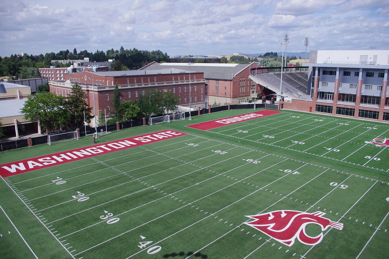 知乎实名账号：惠花花app详情下载教程