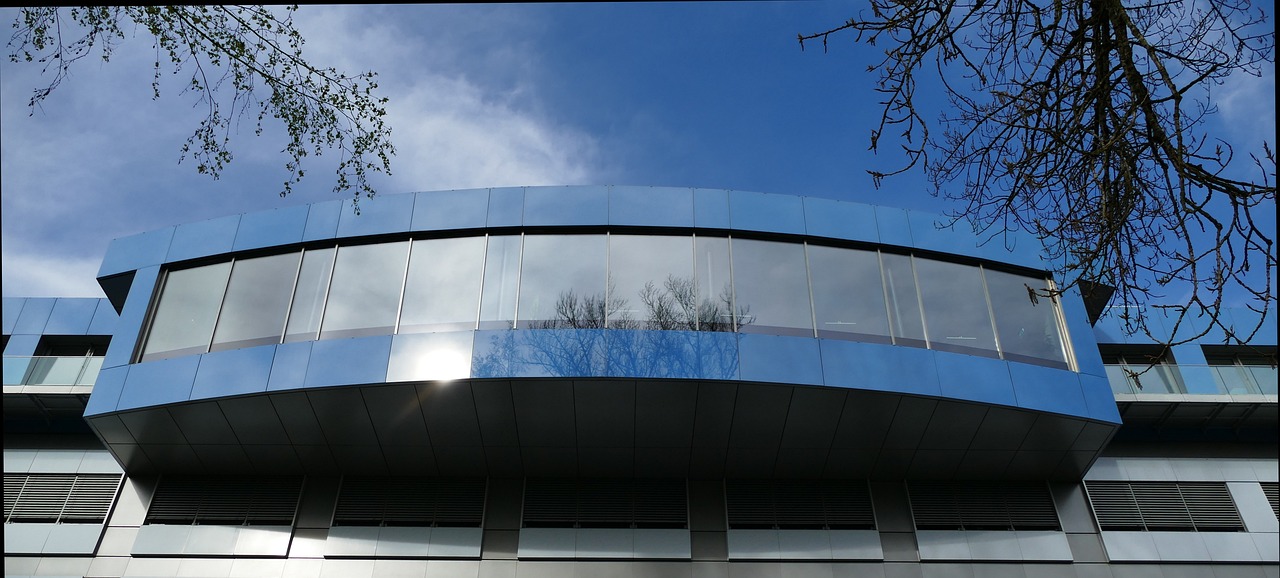 金金网app详情下载教程