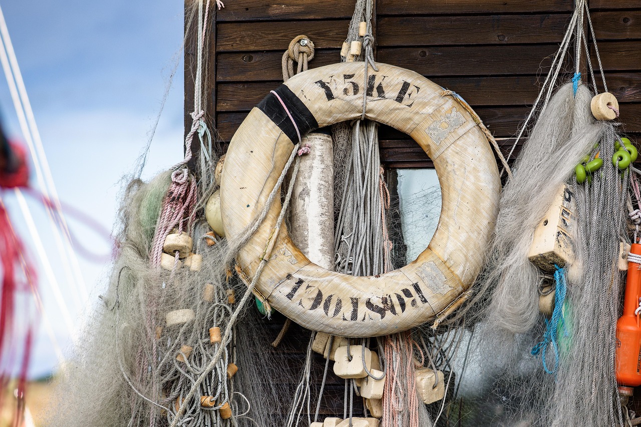 盾之勇者成名录:浪潮:有邦app详情下载教程