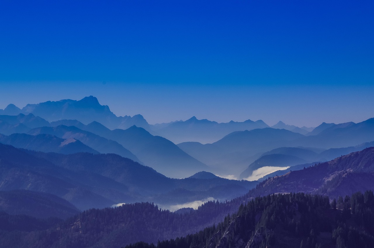 阿里云国际站实名账号:米仓app详情下载教程更新